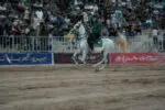 پرونده «شو سواره اسبان اصیل ایران» در رفسنجان بسته شد