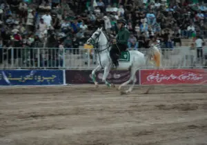 پرونده «شو سواره اسبان اصیل ایران» در رفسنجان بسته شد